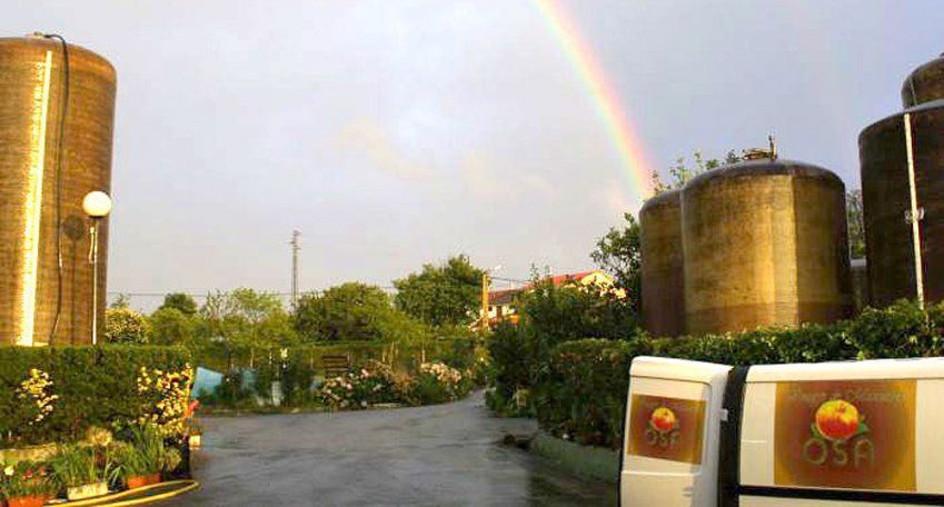 Vinagre de sidra en Villaviciosa, Asturias | Vinagre de manzana